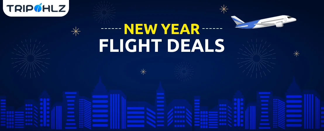 cheap flight deals