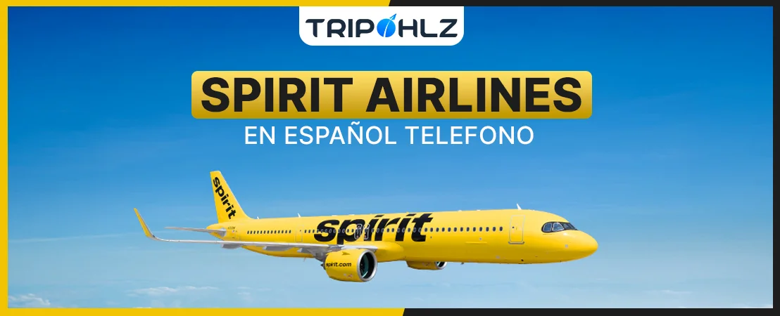 Spirit Airlines En Español